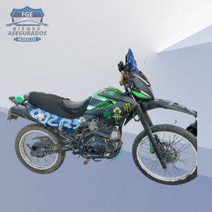 ITALIKA DM200