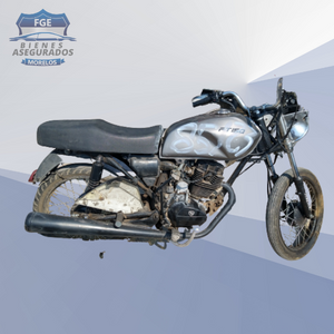 ITALIKA FT150