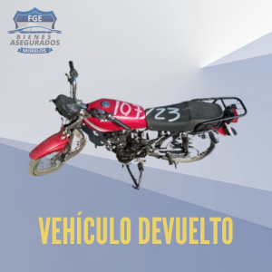 ITALIKA DT150