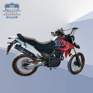 ITALIKA DM150