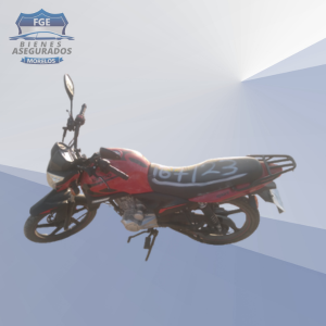 ITALIKA DT150