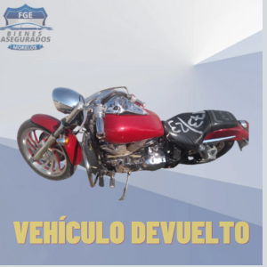 HONDA VTX1300R
