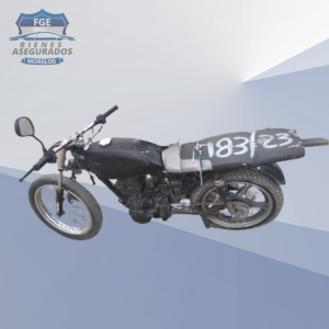 ITALIKA FT125