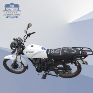 ITALIKA DT150