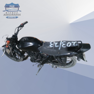 ITALIKA FT 150