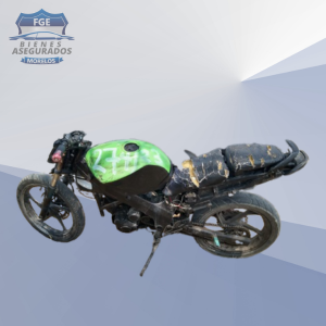 ITALIKA RT200