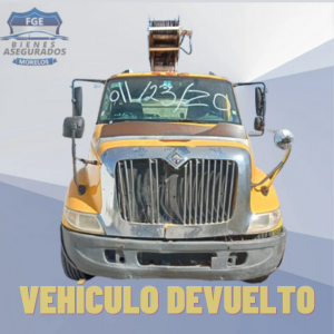 INTERNATIONAL CAMION GRUA