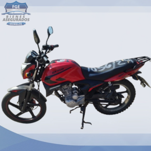 ITALIKA DT150