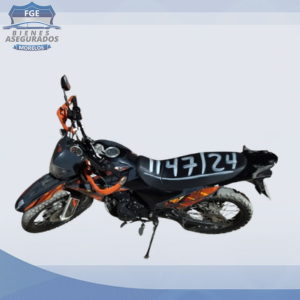 ITALIKA DM250