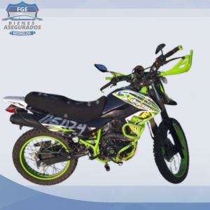 ITALIKA DM200