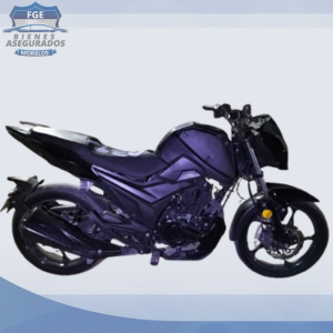 ITALIKA DT150