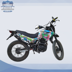 ITALIKA DM250