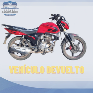ITALIKA DT150