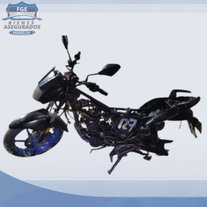 VENTO SPIDER