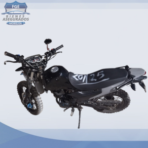 ITALIKA DM 150