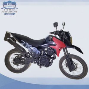 ITALIKA DM150