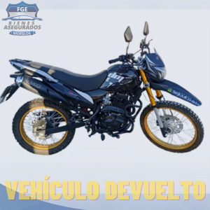 ITALIKA DM300