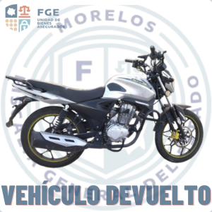 ITALIKA	FT150