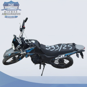 ITALIKA	DM150