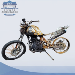 ITALIKA DM250