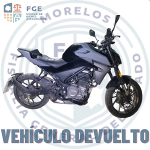 CF MOTO	CF250