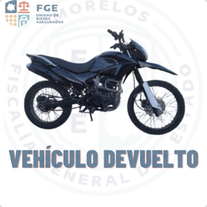 ITALIKA DM250