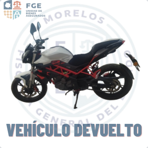 BENELLI TNT 25N