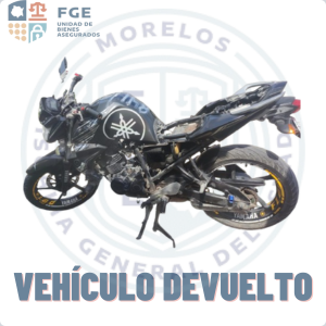 YAMAHA	FZ