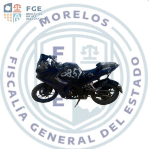 MOTOCICLETA TIPO PULSAR