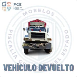 INTERNATIONAL	4900300E