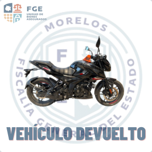 BAJAJ	PULSAR 250 CC
