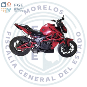 ITALIKA 	VORT-X 250