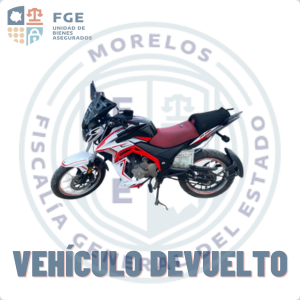 VENTO FALKON