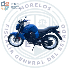 YAMAHA	FZ16