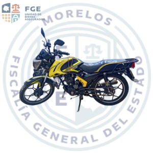 VENTO RYDER 190