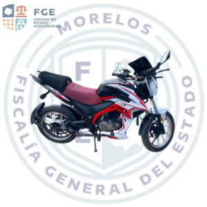 VENTO FALKON