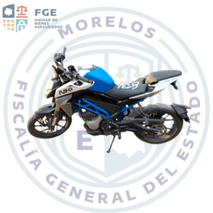 CF MOTO  300NK
