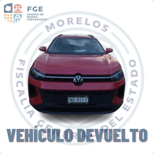 VOLKSWAGEN	TERA