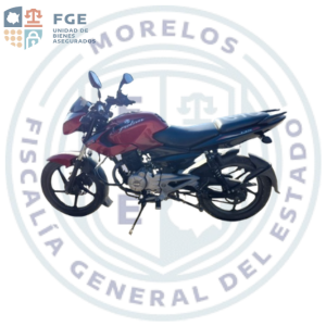 BAJAJ PULSAR 135