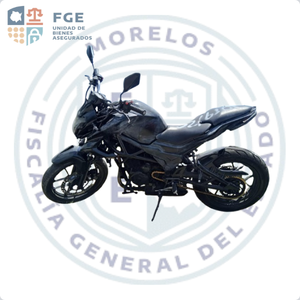ITALIKA VORT-X250