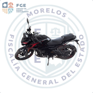 BAJAJ PULSAR NS250