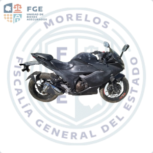 SUZUKI GSX 250