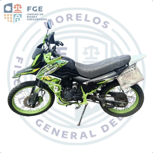 ITALIKA DM200
