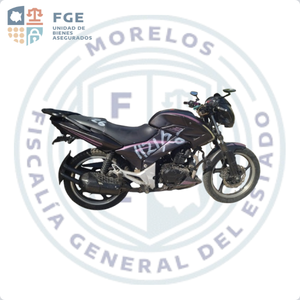 ITALIKA FT250