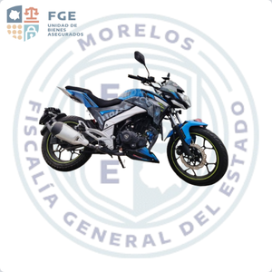 ITALIKA	FT250