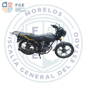 VENTO XPRESS 170
