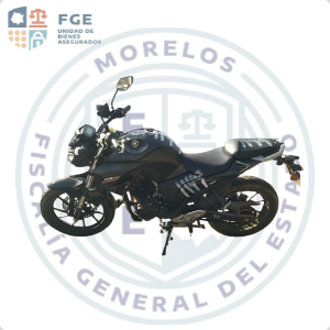 YAMAHA	FZ