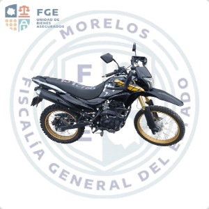 ITALIKA DM300