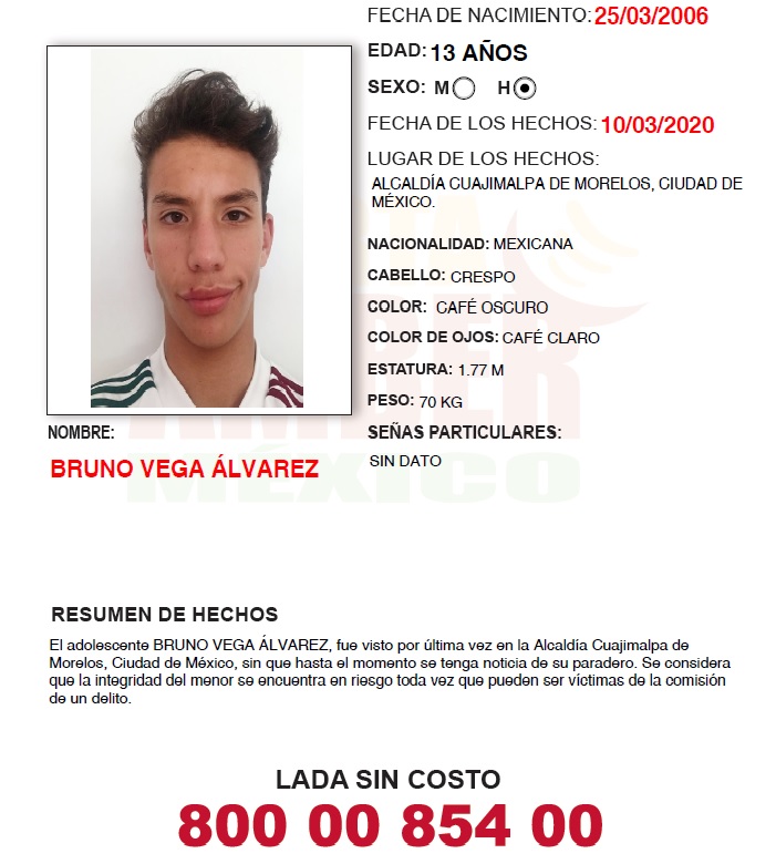 BRUNO VEGA ÁLVAREZ