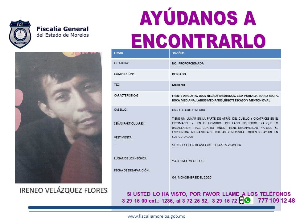 IRENEO VELÁZQUEZ FLORES